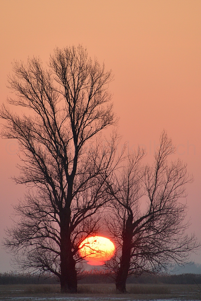 Sonnenaufgang, Kienitz an der Oder
