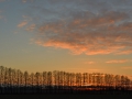 Sonnenuntergang auf einem Feld bei Kienitz
