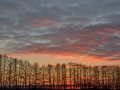 Sonnenuntergang auf einem Feld bei Kienitz